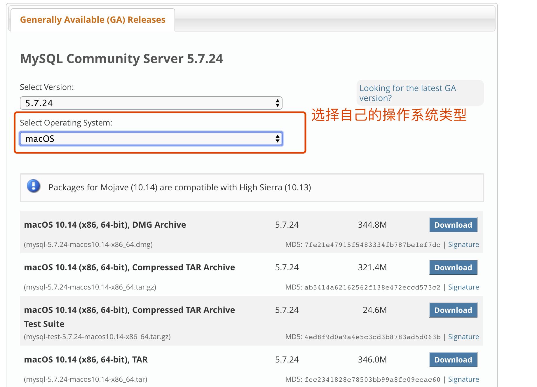 mysql下载